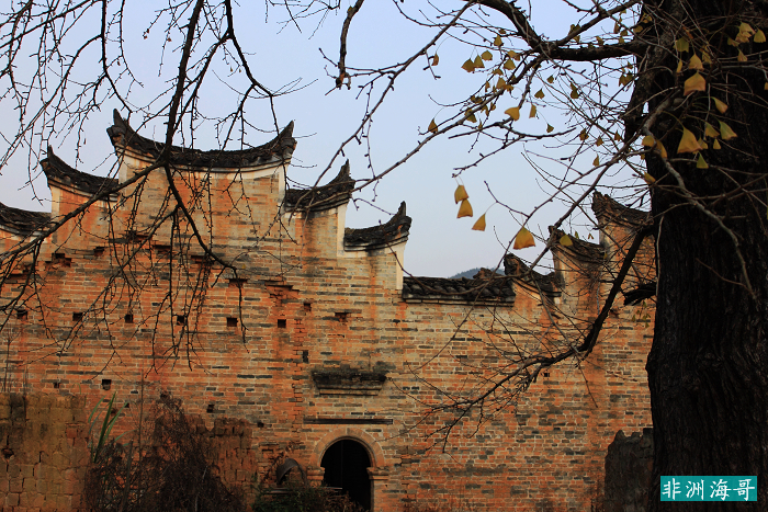 DPP_00274.jpg