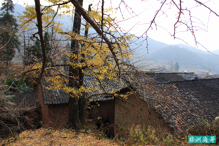 DPP_00273.jpg