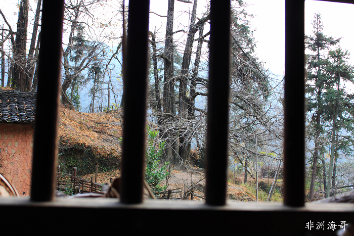 DPP_00281.jpg