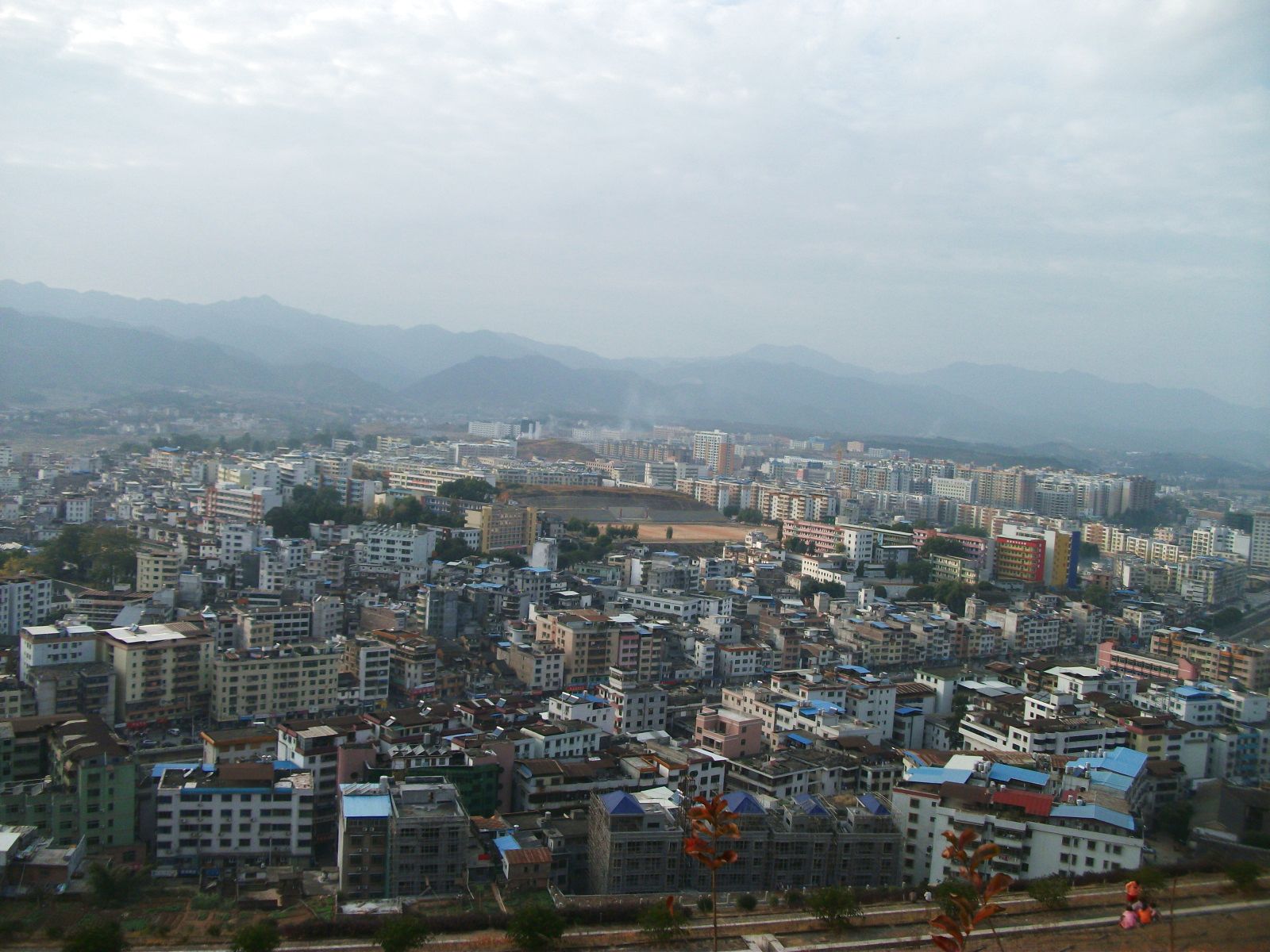 DSCF0331.jpg