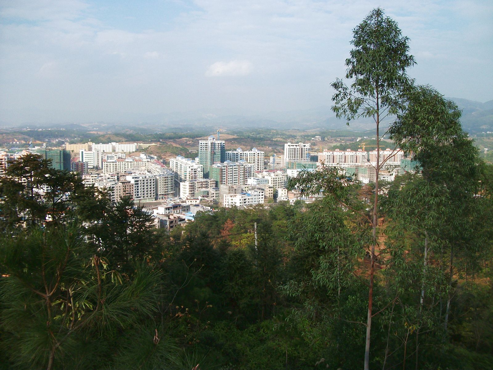DSCF0311.jpg