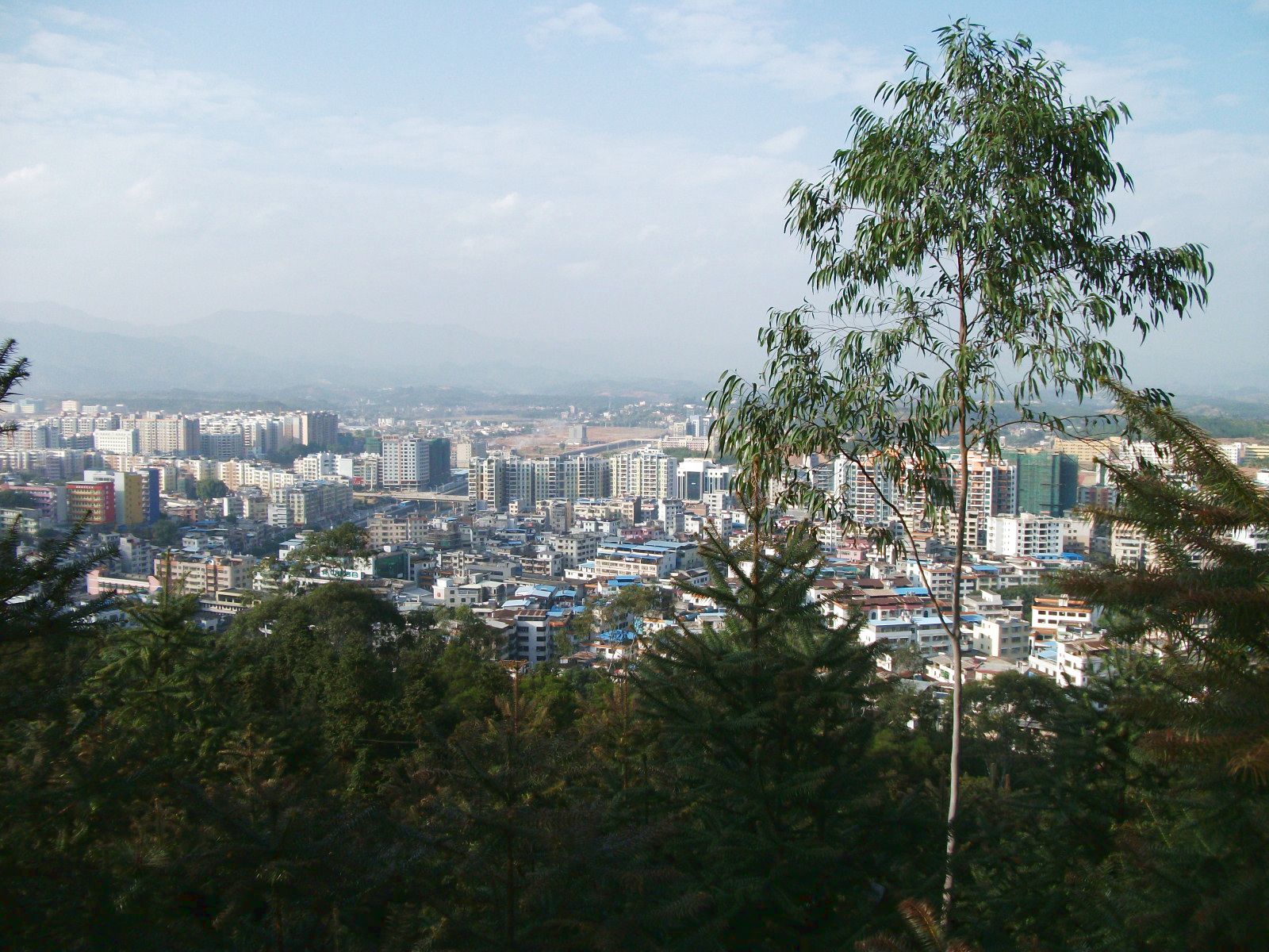 DSCF0320.jpg