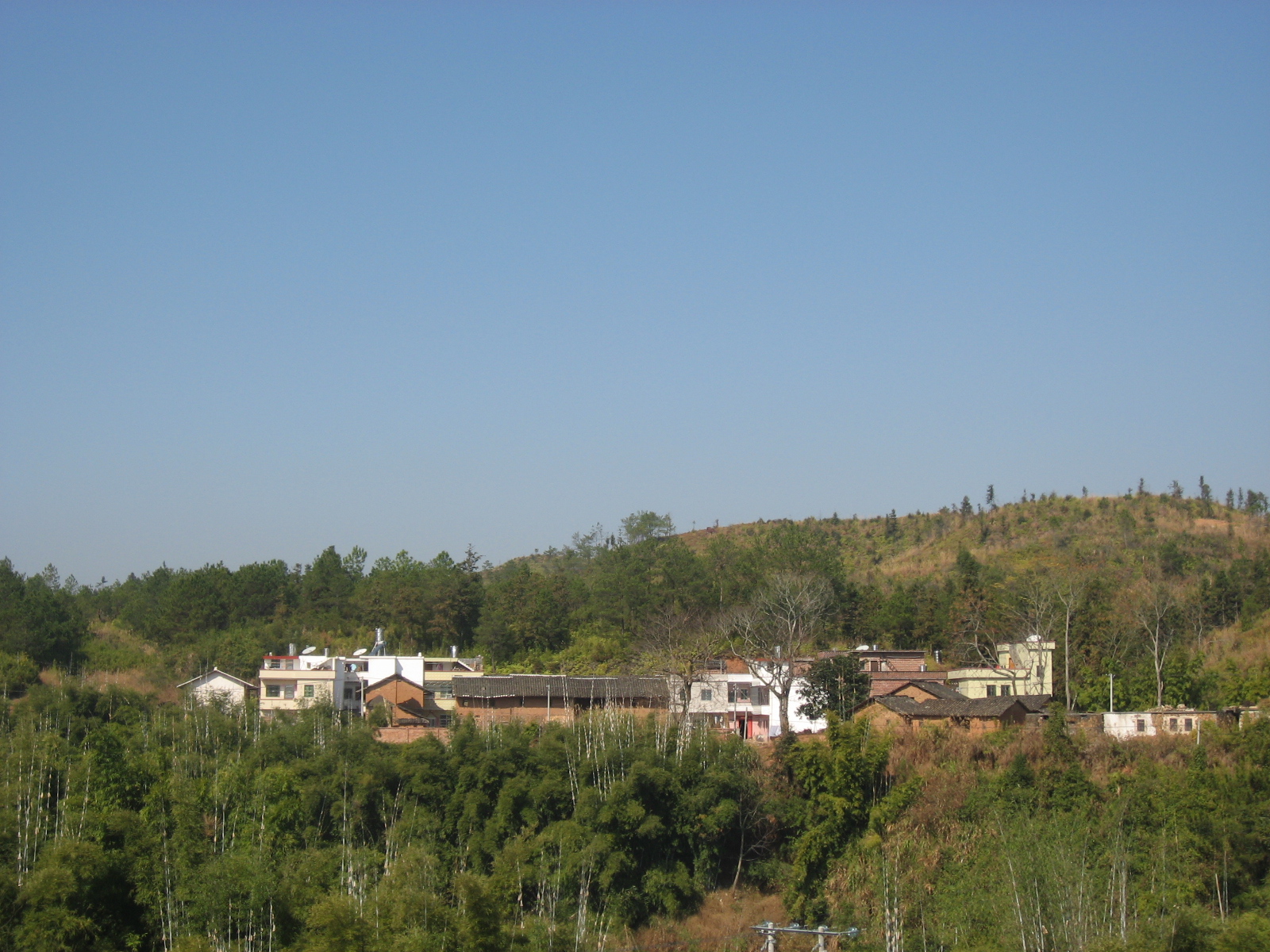 IMG_7234.jpg