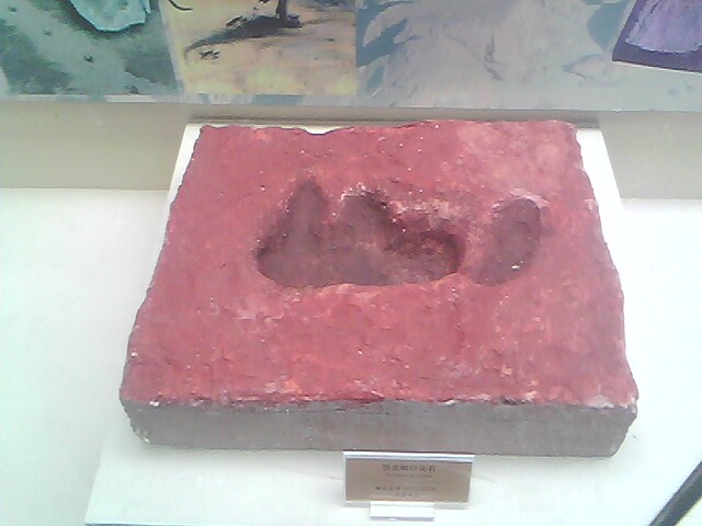 IMG0198A.jpg