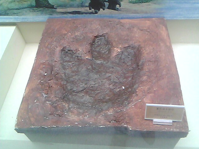 IMG0196A.jpg
