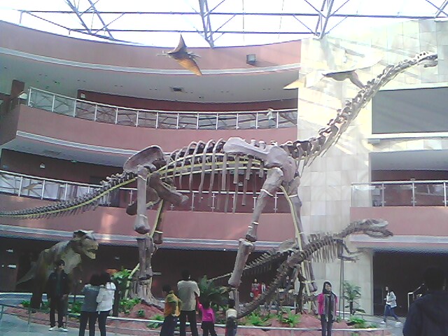IMG0192A.jpg