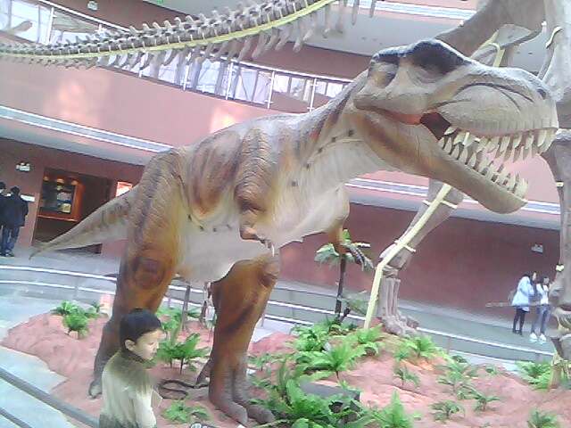 IMG0193A.jpg