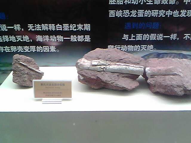 IMG0226A.jpg