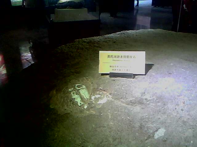 IMG0224A.jpg
