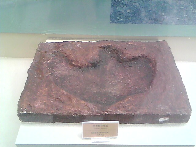 IMG0201A.jpg