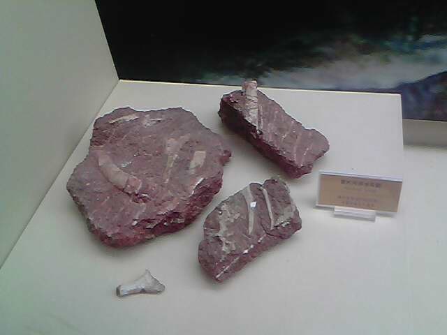 IMG0227A.jpg