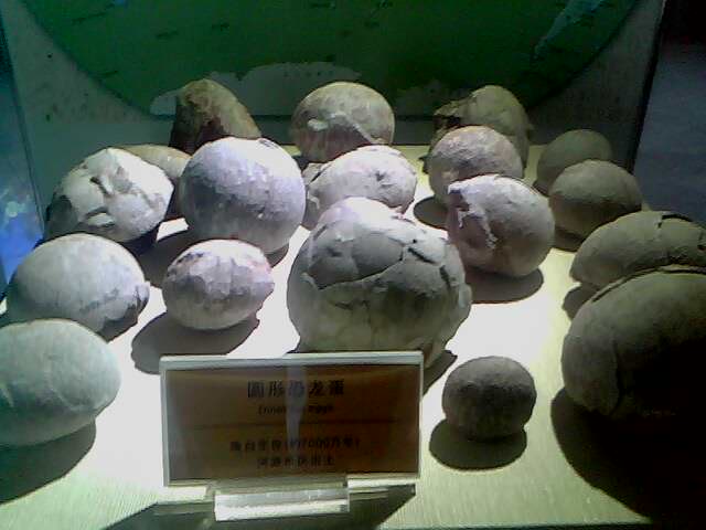 IMG0253A.jpg