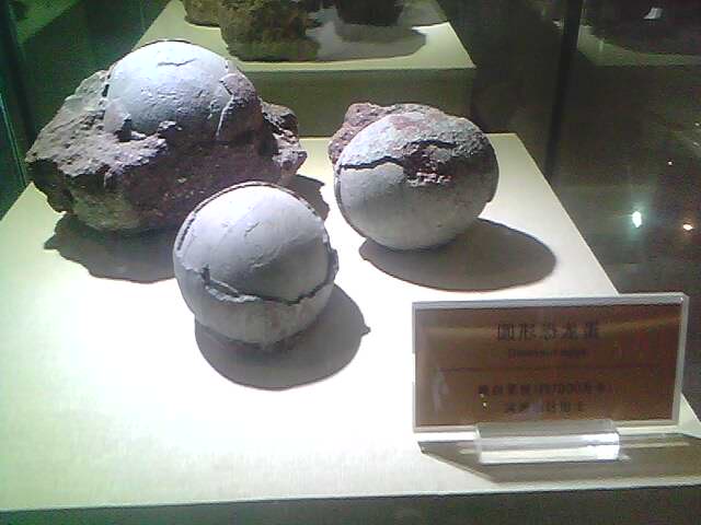 IMG0245A.jpg