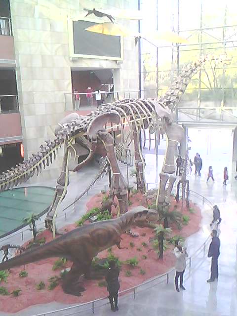 IMG0261A.jpg