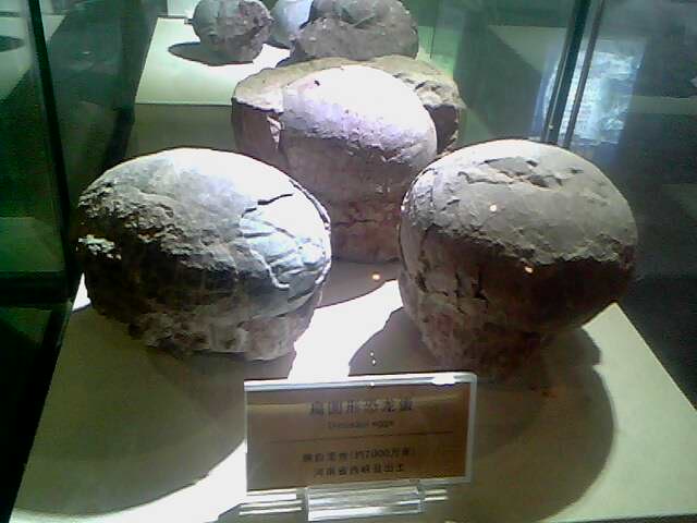 IMG0243A.jpg