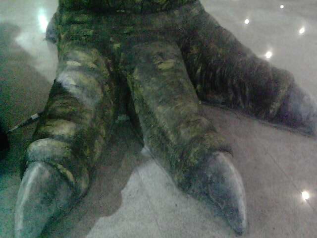 IMG0244A.jpg
