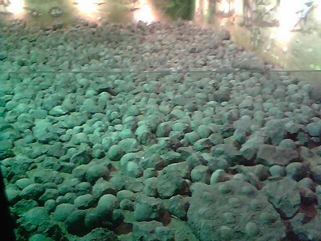 IMG0230A.jpg