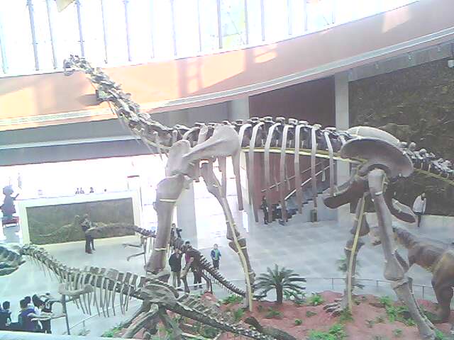 IMG0260A.jpg