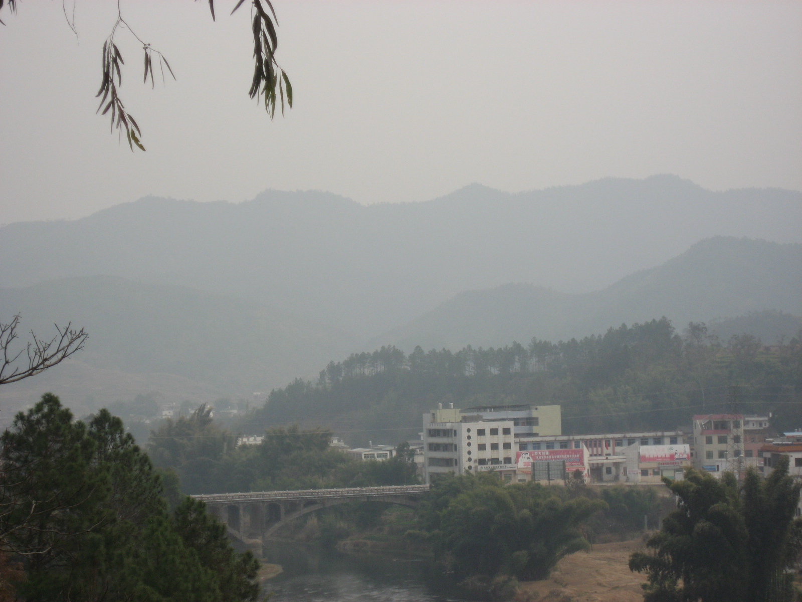 IMG_7620.jpg