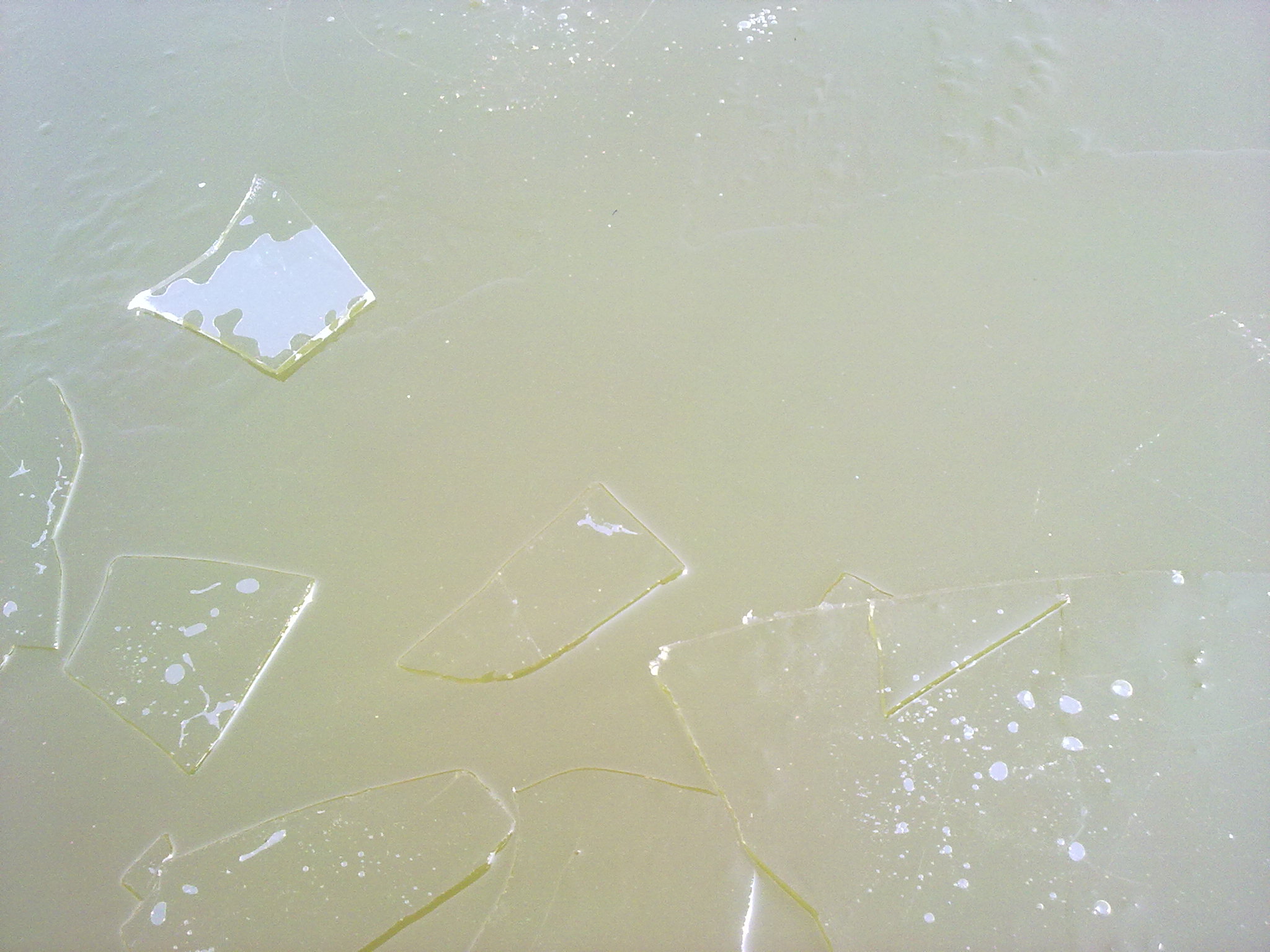 20110111137.jpg
