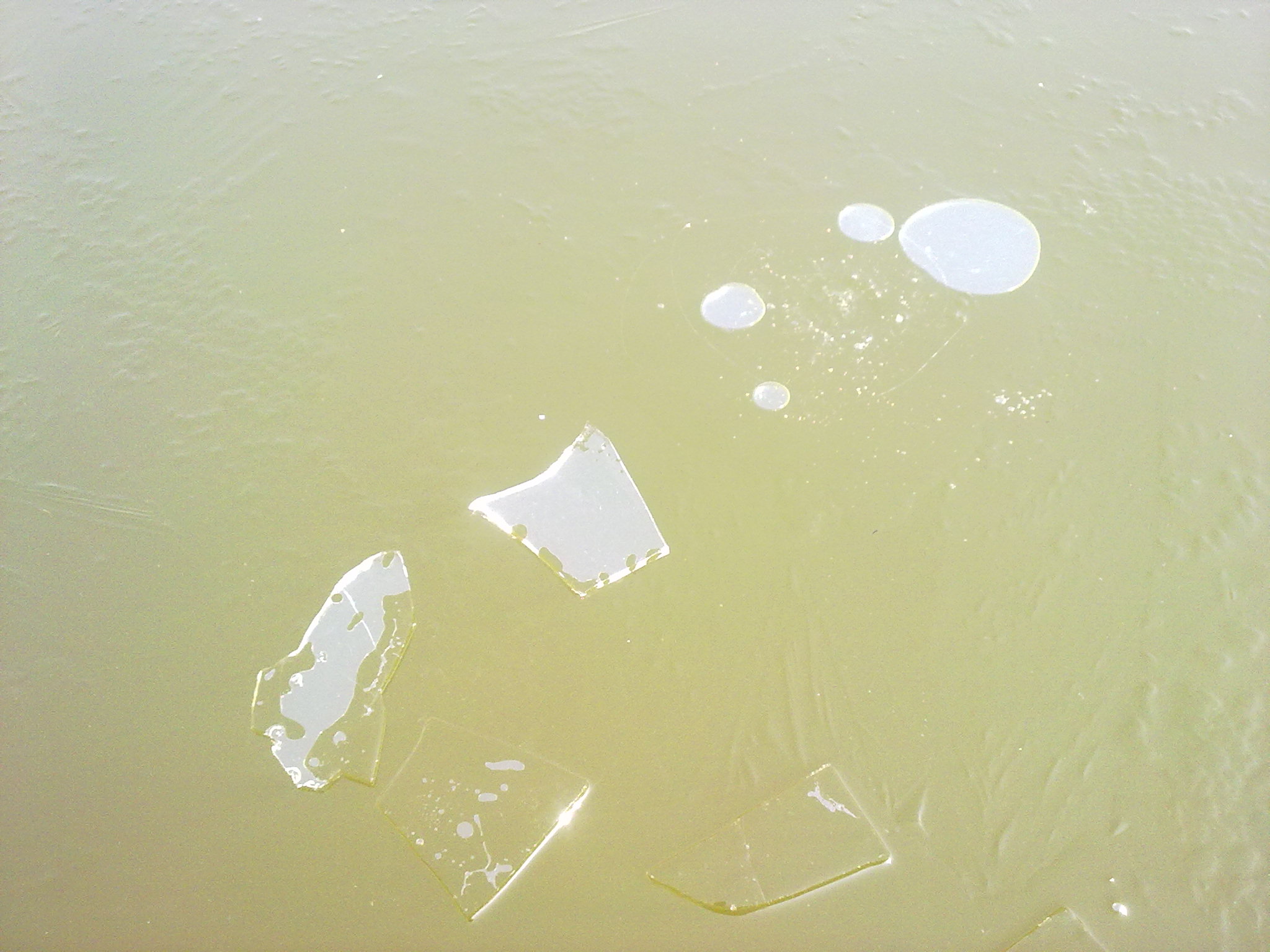 20110111136.jpg