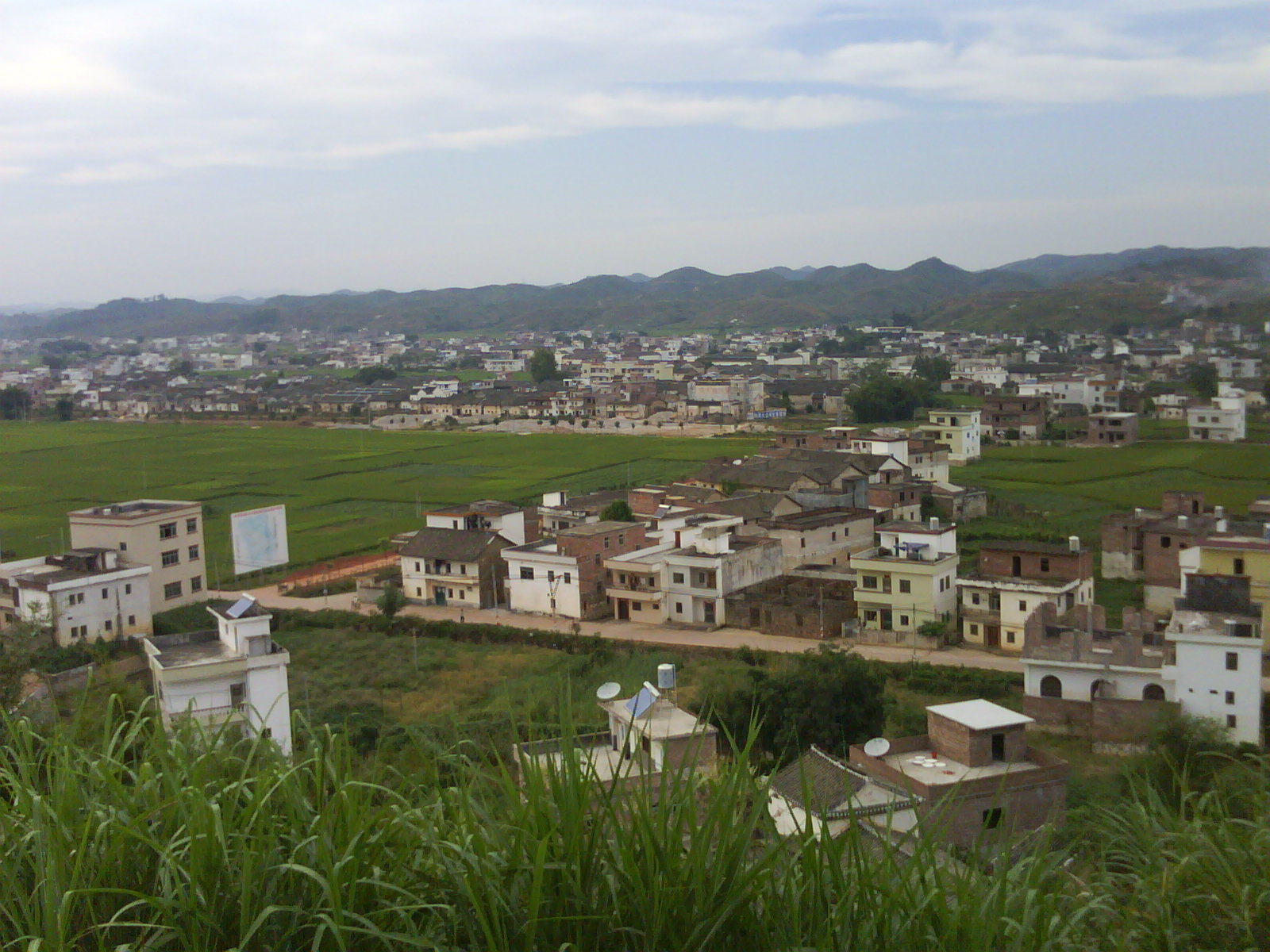 20101004_163103.JPG