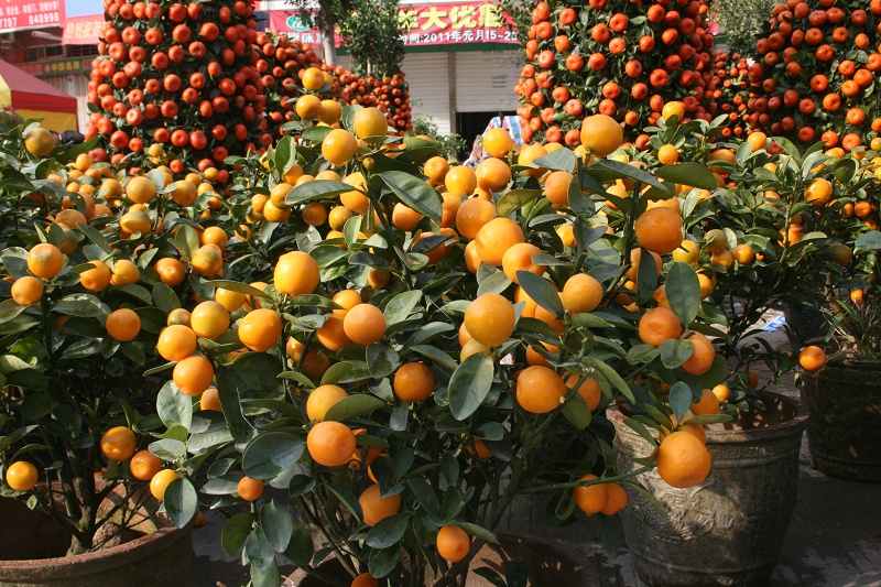 20110128 012.jpg