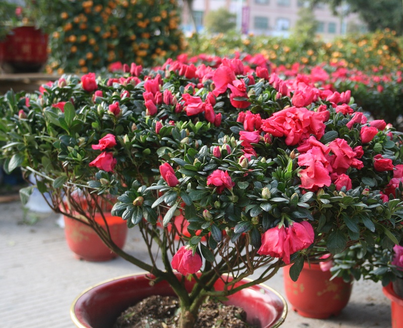 20110128 013.jpg