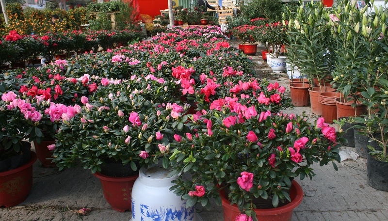 20110128 014.jpg