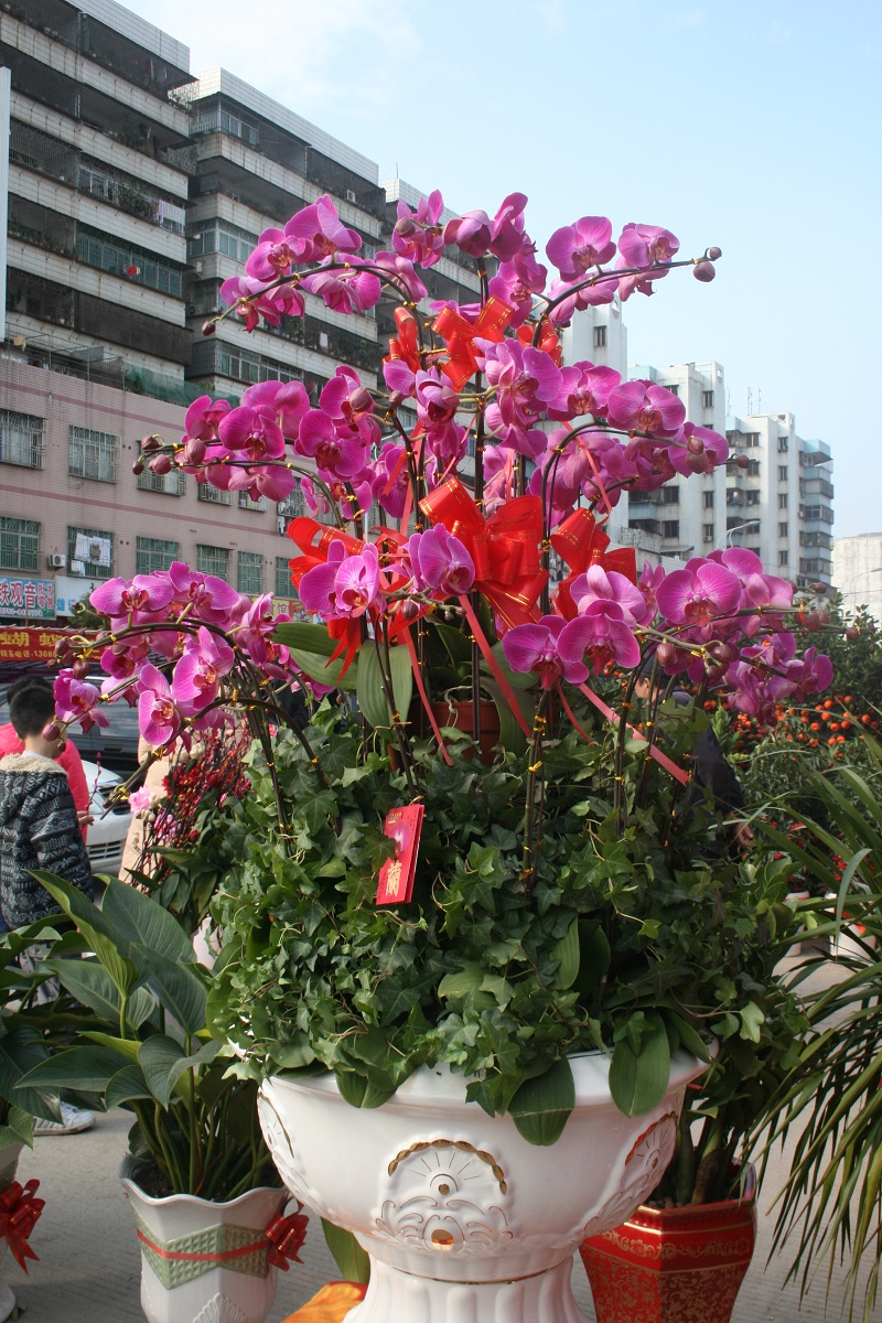 20110128 021.jpg