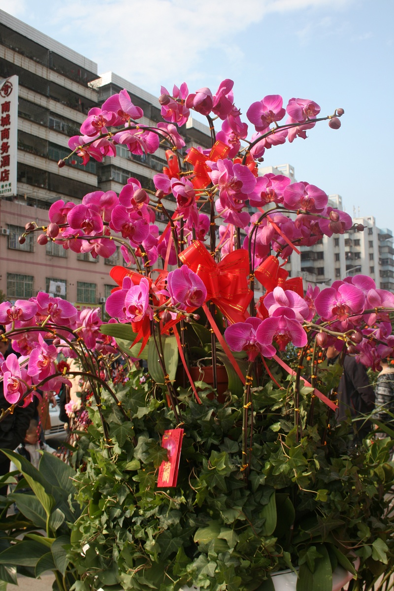 20110128 023.jpg