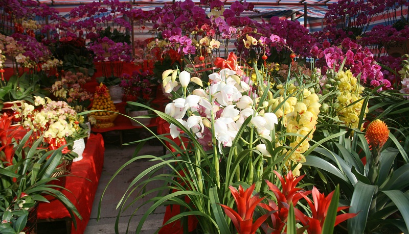 20110128 027.jpg