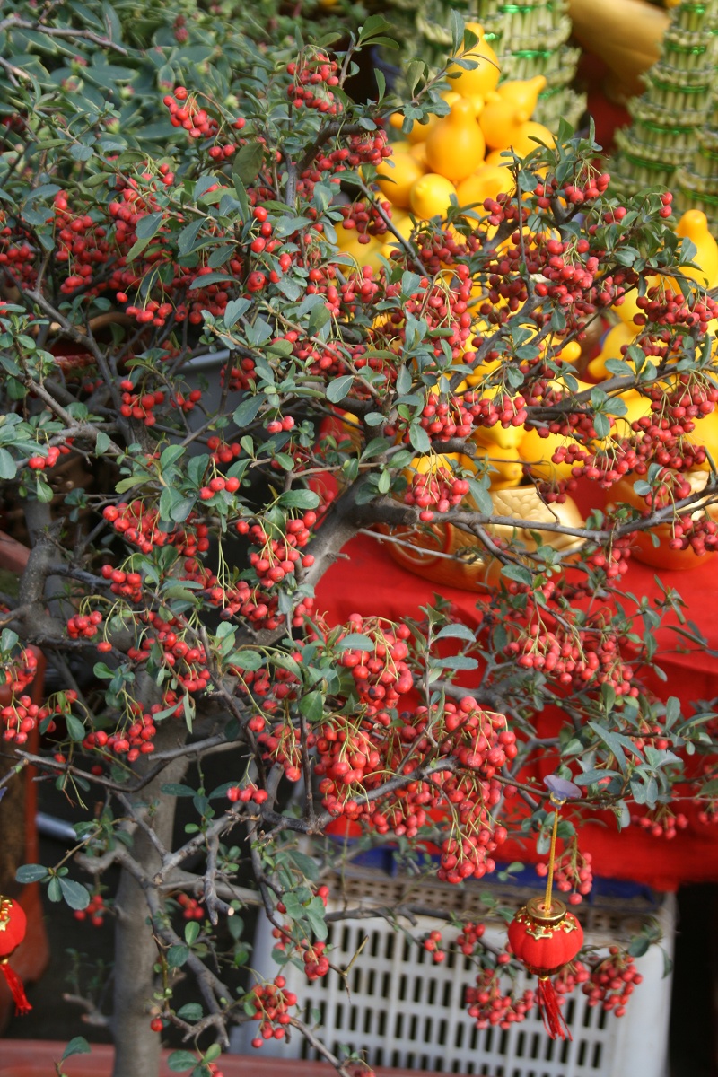 20110128 026.jpg