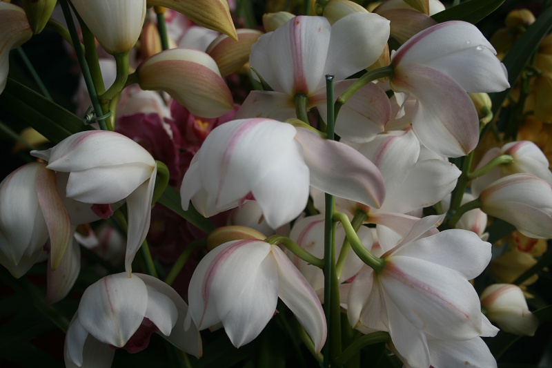 20110128 030.jpg