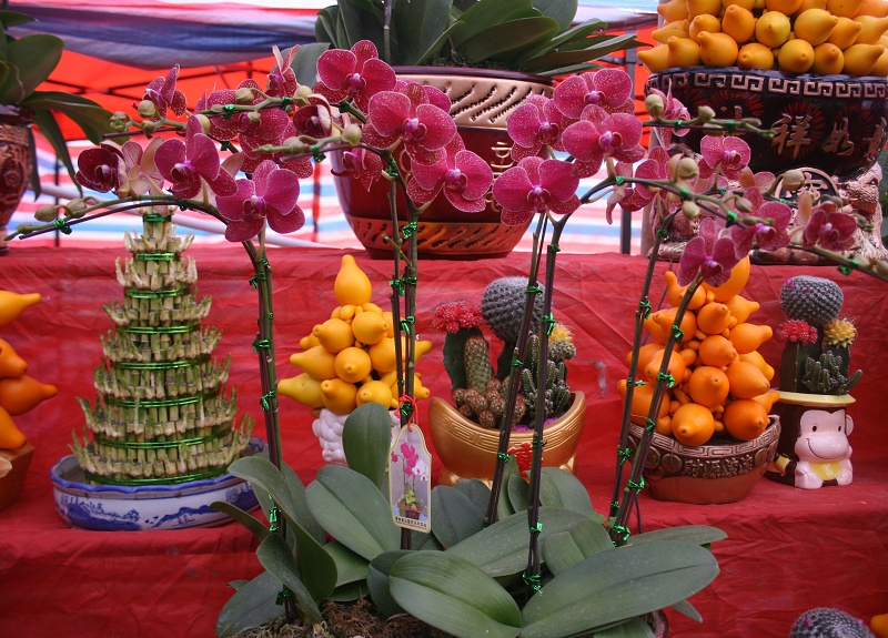 20110128 039.jpg