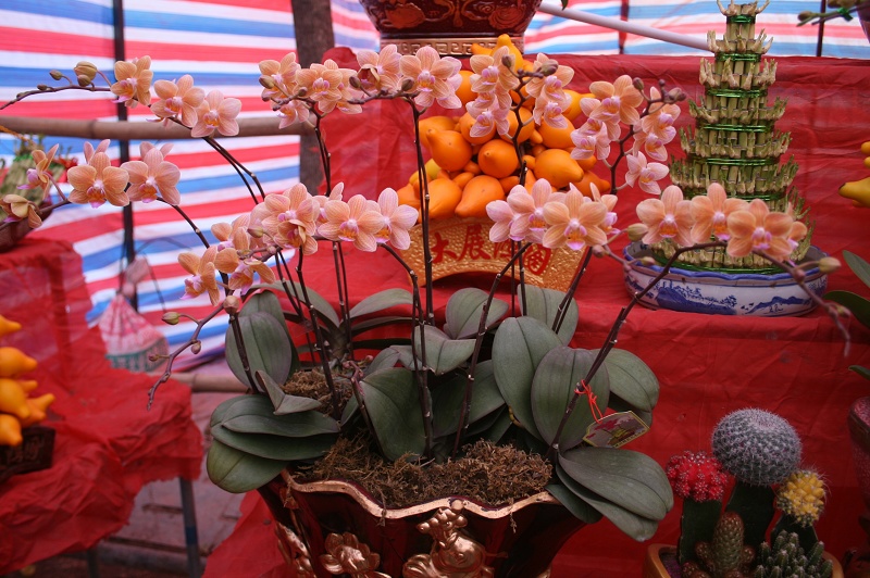 20110128 038.jpg