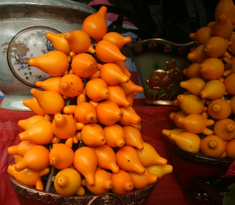 20110128 037.jpg