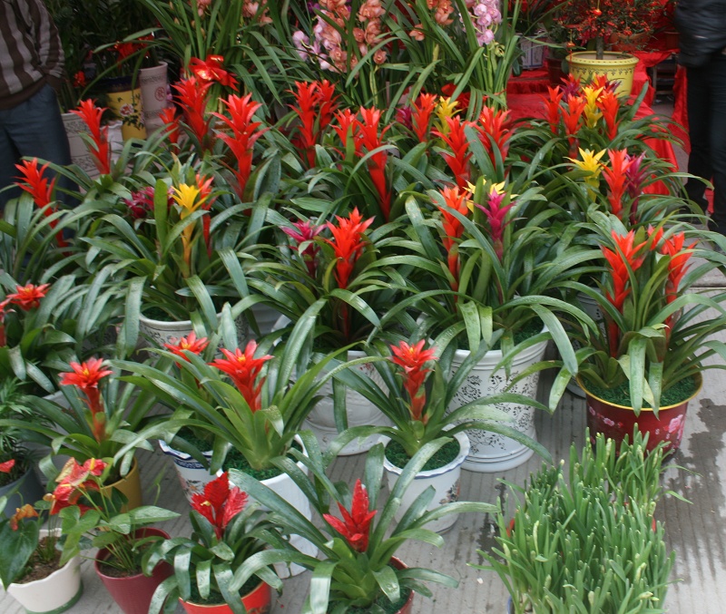 20110128 050.jpg
