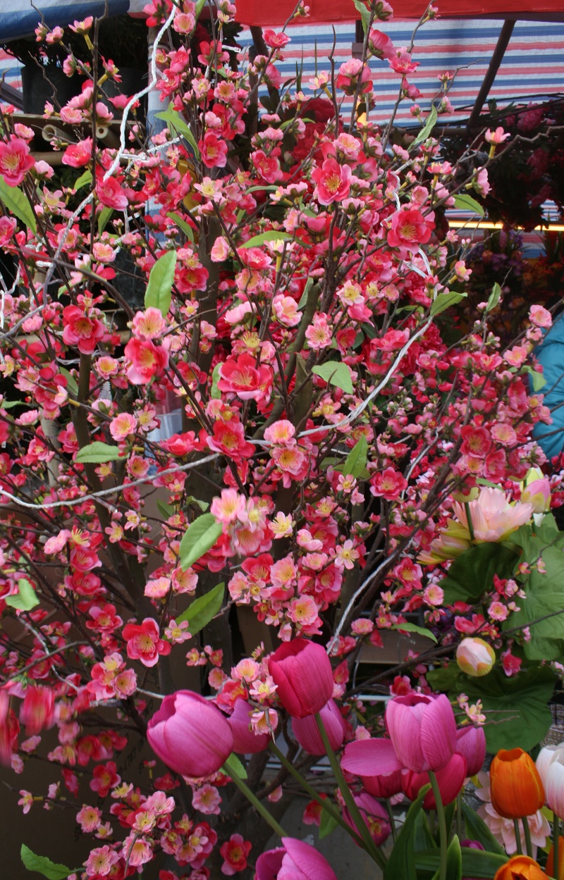 20110128 046.jpg