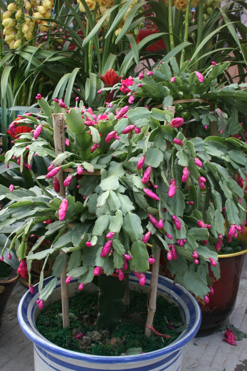 20110128 051.jpg