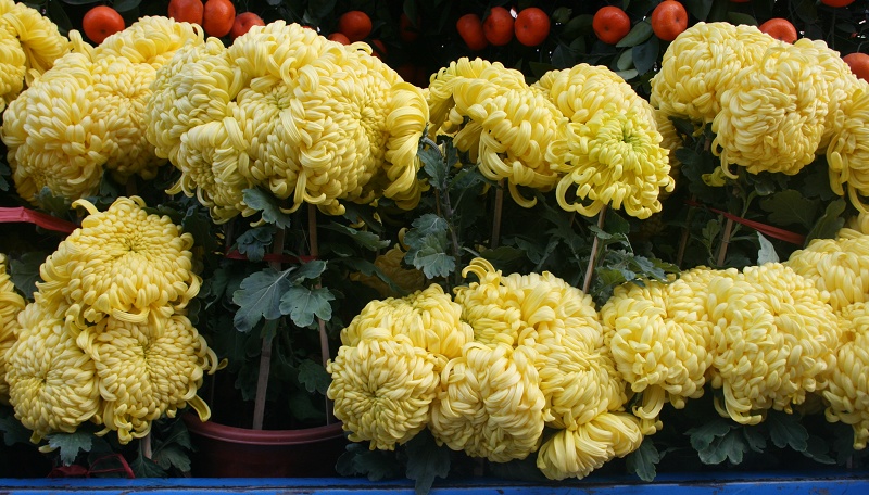 20110128 067.jpg