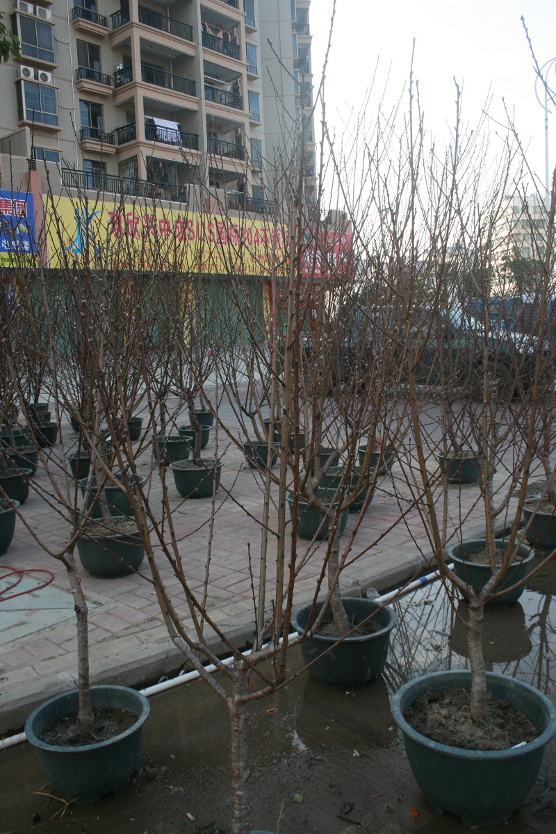 20110128 069.jpg