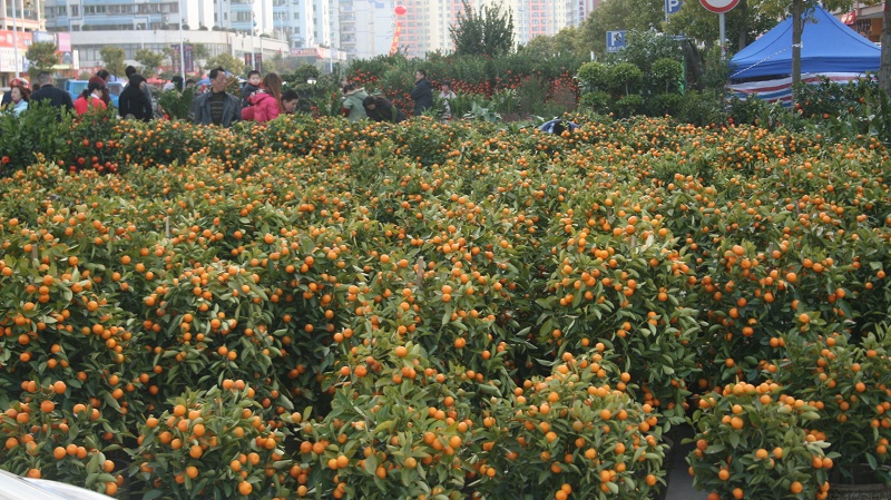 20110128 074.jpg