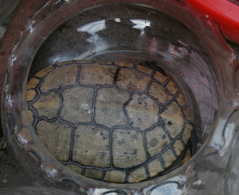20110128 057.jpg