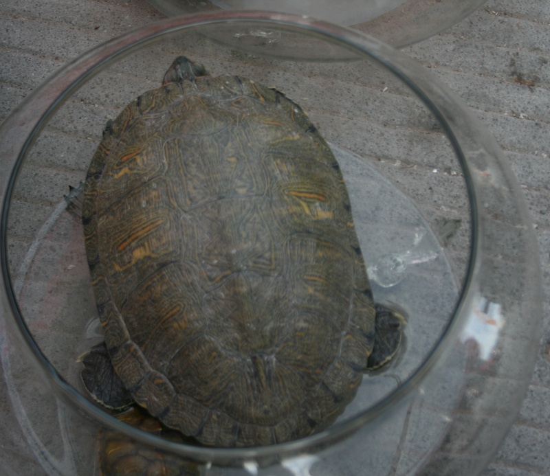 20110128 053.jpg