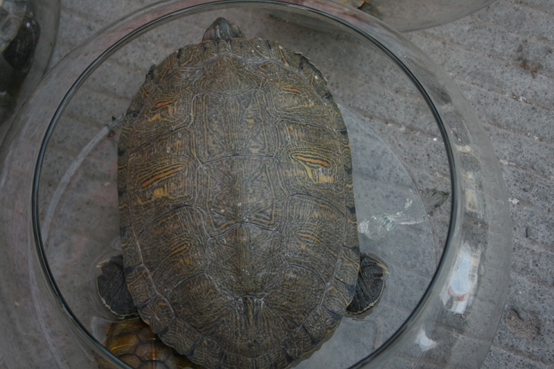 20110128 056.jpg