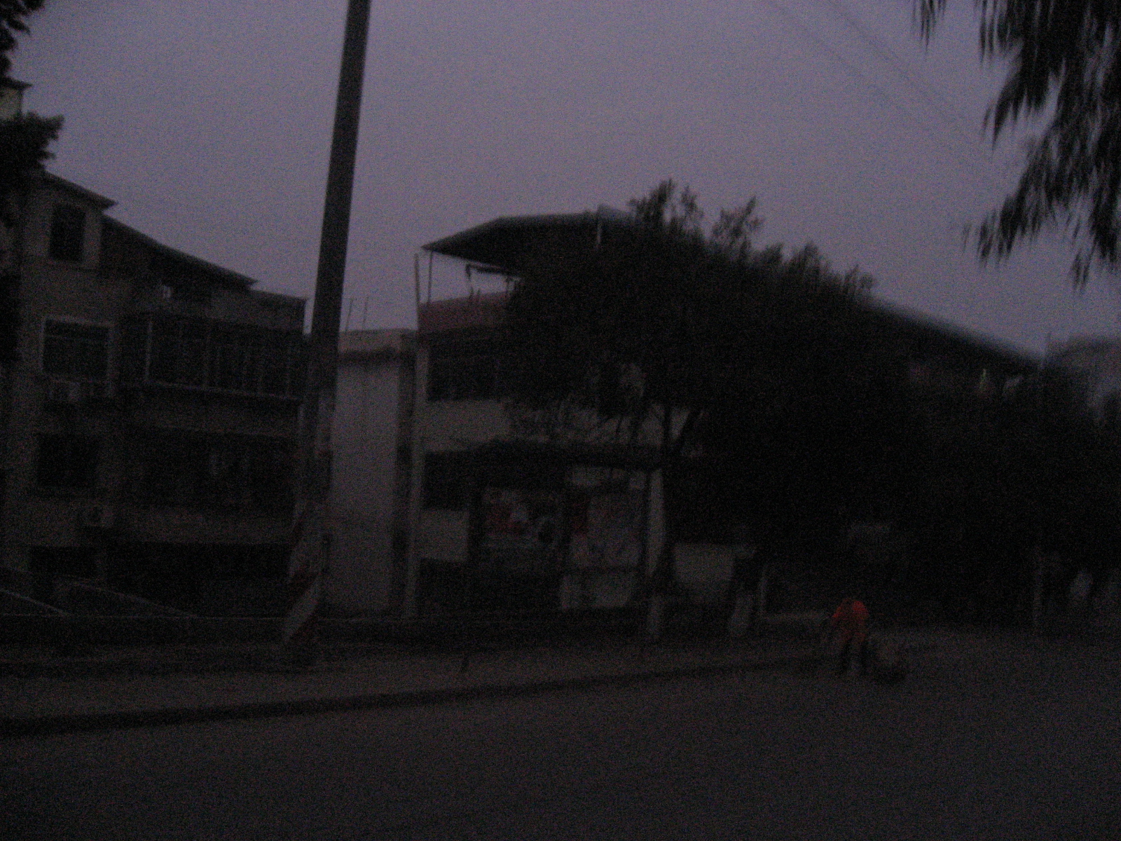 IMG_8905.jpg