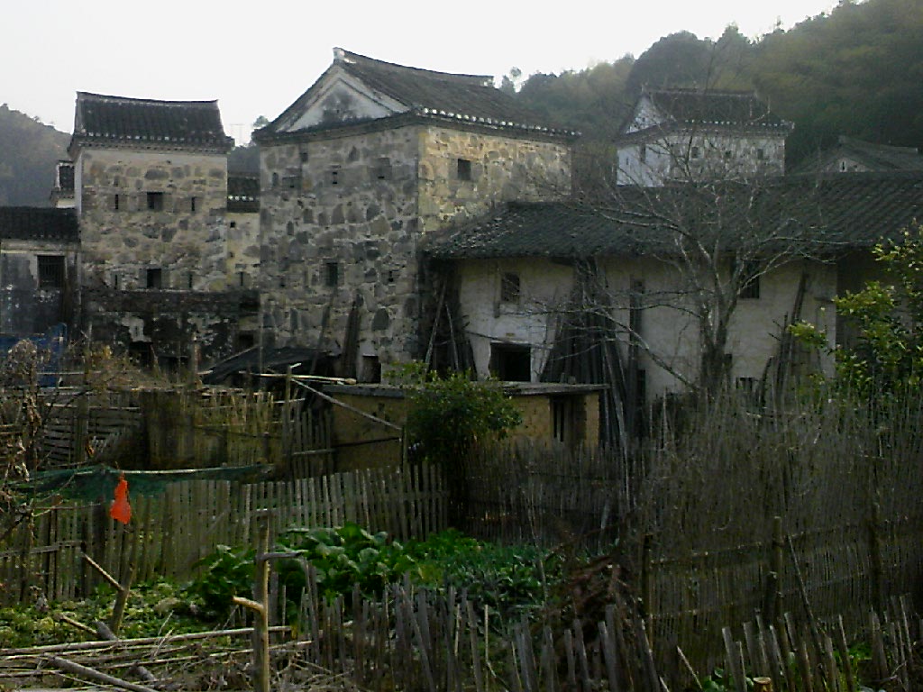 110203A000.jpg