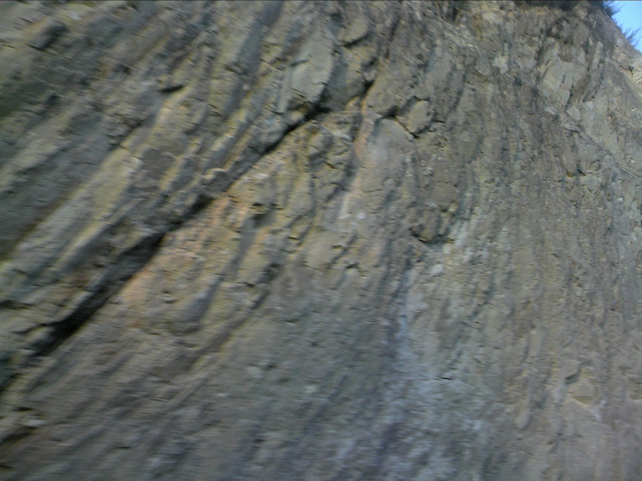 110203A004.jpg
