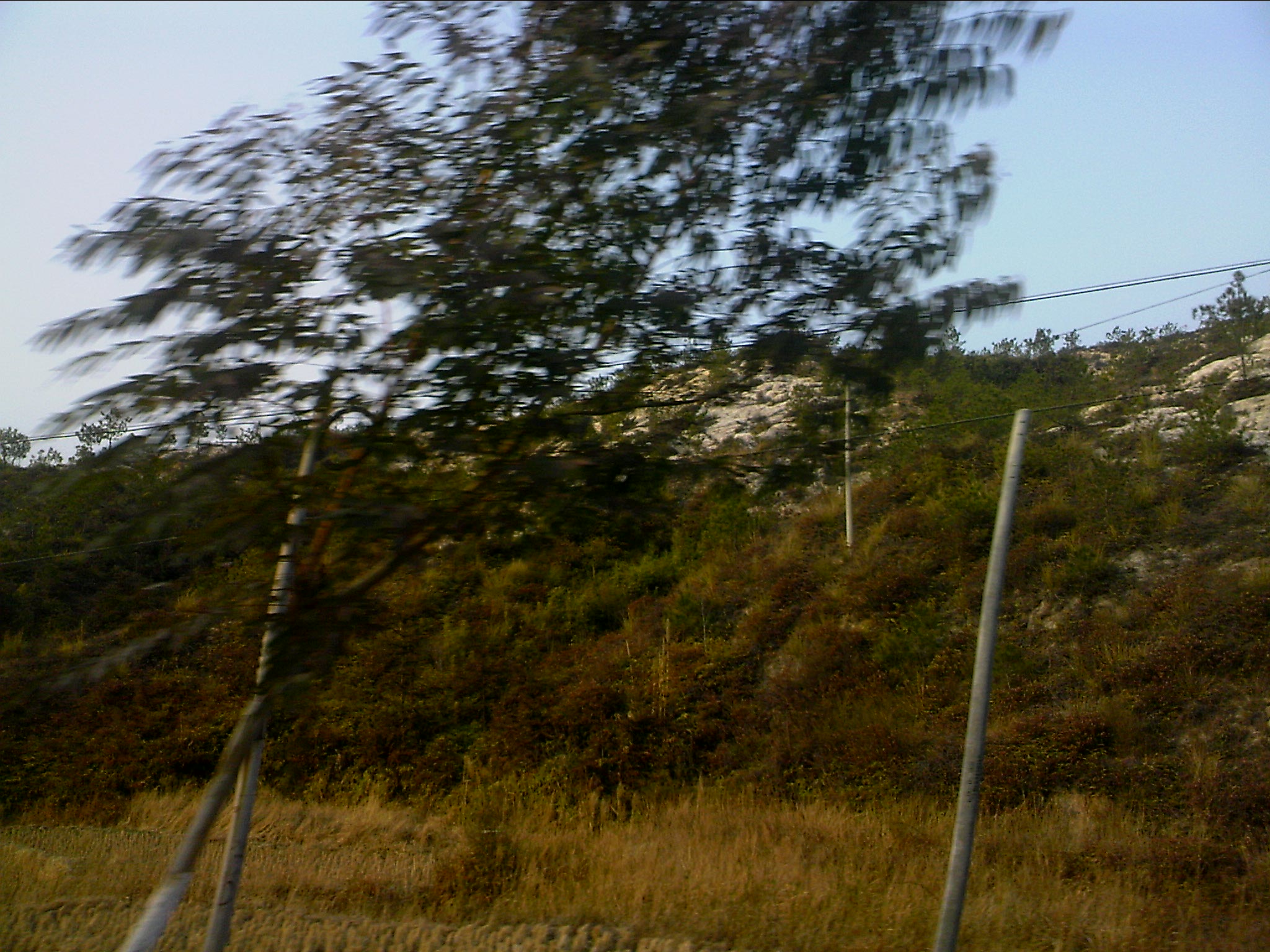 110203A002.jpg